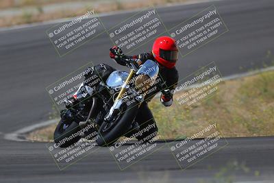 media/May-09-2022-Moto Forza (Mon) [[0226cf3505]]/Group B/B 1020am/